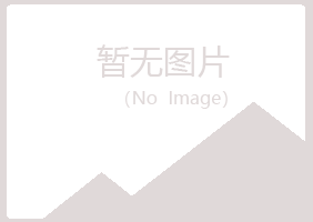 青岛黄岛沙砾出版有限公司